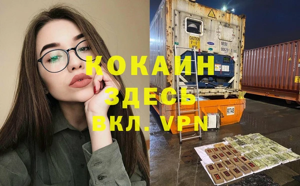 СК Новодвинск