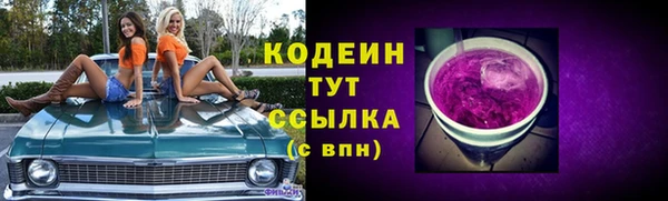 СК Новодвинск