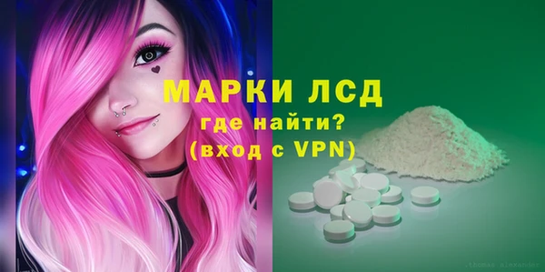 СК Новодвинск