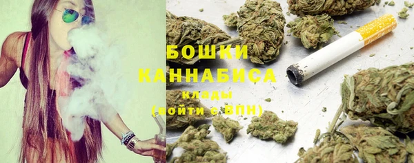 СК Новодвинск