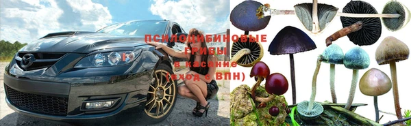 ALPHA PVP Бутурлиновка