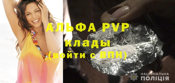 СК Новодвинск