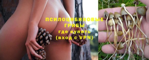 СК Новодвинск
