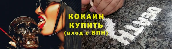 мескалин Няндома