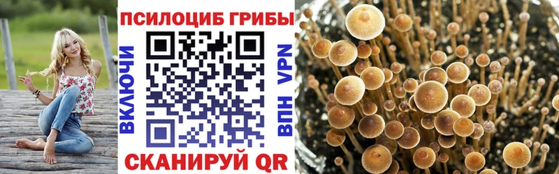 Галлюциногенные грибы GOLDEN TEACHER  KRAKEN как войти  дарк нет как зайти  купить наркоту  Шуя 