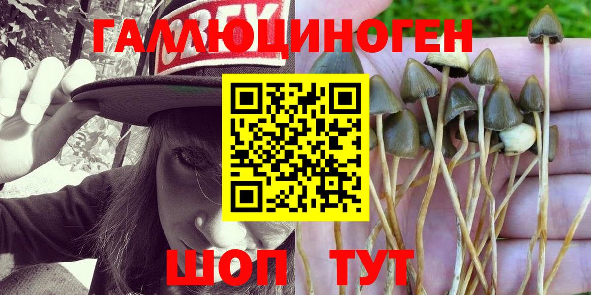 Галлюциногенные грибы мухоморы Шуя