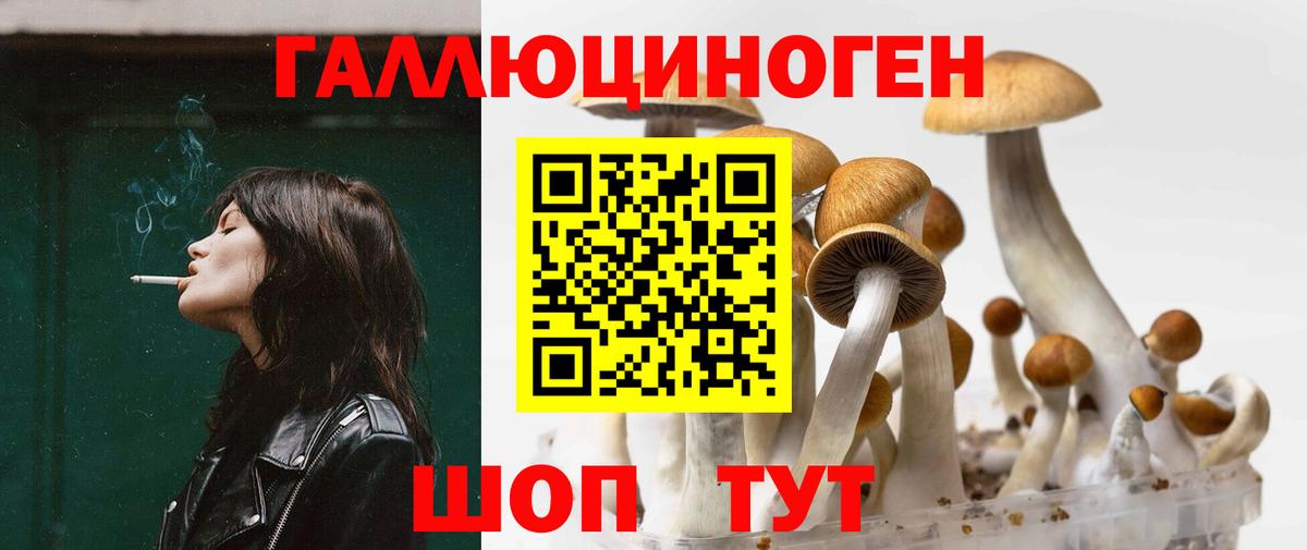 А ПВП Шуя
